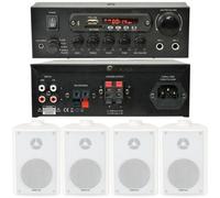 Loops Bar Restaurant Bluetooth Wall Speaker System Background Music Wireless Amp Kit