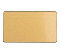 Loops Double Screwless Satin Brass Blanking Plate Round Edged Wall Box Hole Cover