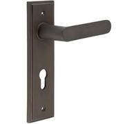 Loops Elegant Antique Brass Door Handle With Euro Backplate - Solid Brass Interior Handle