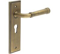 Loops Elegant Antique Brass Euro Backplate Door Handle For Luxury Homes - Solid Brass Interior Handle
