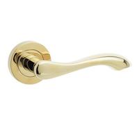 Loops Elegant Brass Finish Door Handle For Traditional Interiors - Interior Handle