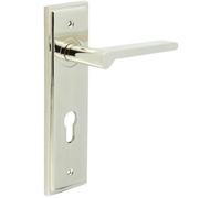 Loops Elegant Door Handle With Euro Backplate In Polished Nickel Finish - Solid Brass Interior Handle