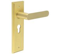 Loops Elegant Satin Brass Euro Backplate Door Handle For Luxury Interiors - Solid Brass Interior Handle