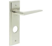 Loops Elegant Satin Nickel Bathroom Door Handle With Backplate Solid Brass - Interior Handle