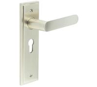 Loops Elegant Satin Nickel Door Handle With Euro Backplate For Luxurious Interiors - Solid Brass Interior Handle