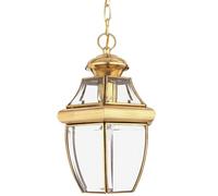 Loops IP23 1 Bulb Chain Lantern Light Highly Polished Brass LED E27 100W in Metallics Loops Metallics