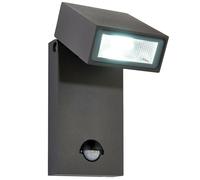 Loops IP44 Outdoor Anthracite Spotlight PIR Motion Sensor & Photocell 10W Cool White Loops White