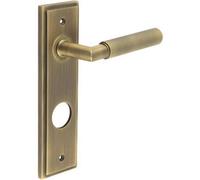 Loops Luxury Antique Brass Door Handle With Backplate For Bathrooms - Solid Brass Interior Handle