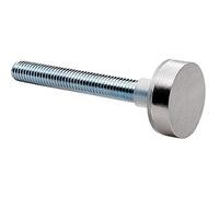 Loops Pair Bolt Cap Fixing Pack for 22mm Pull Handle - Bright Stainless Steel