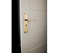 Loops PAIR Curved Handle on Long Lock Backplate 245 x 45mm Polished Chrome Loops Multicolor