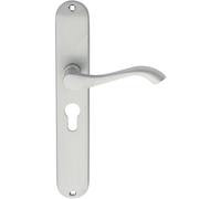 Loops PAIR Curved Handle on Long Slim Euro Lock Backplate 241 x 40mm Satin Chrome Loops Multicolor