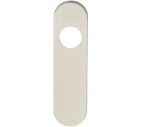 Loops PAIR Radius Lock Latch Plate Cover 170 x 45 x 8mm Satin Stainless Steel in Metallics Loops Metallics