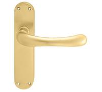 PAIR Smooth Rounded Handle on Shaped Latch Backplate 185 x 42mm Satin Brass