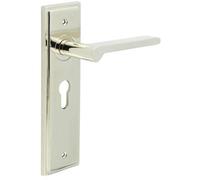 Loops Polished Nickel Door Handle With Euro Backplate - Solid Brass Interior Handle