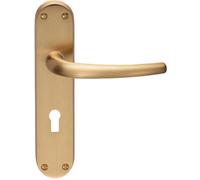 Loops Rounded Sleek Latch & Lock Door Handle - Satin Brass Lever On Backplate