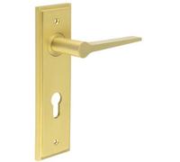 Loops Satin Brass Euro Backplate Door Handle - Elegant And Durable - Solid Brass Interior Handle