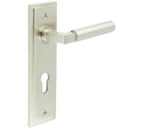 Loops Satin Nickel Euro Backplate Door Handle - Stylish Solid Brass Lever - Solid Brass Interior Lever