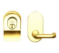Loops Security Profile Cylinder Latch Pull Handle & Mini Lever Polished Brass 86X54mm