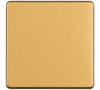 Loops Single Screwless Satin Brass Blanking Plate Round Edged Wall Box Hole Cover