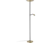 Loops Stylish Modern Brushed Brass And Black Led Floor Lamp For Indoor Spaces
