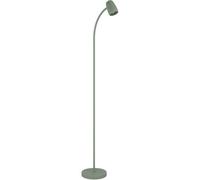 Loops Stylish Modern Green Floor Lamp - Elegant Indoor Lighting For Home Decor