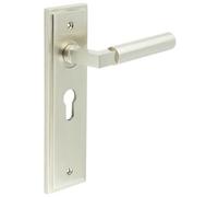 Loops Stylish Satin Nickel Euro Backplate Door Handle For Modern Homes - Solid Brass Interior Lever