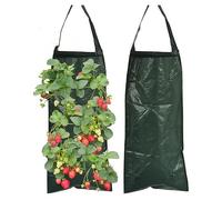 Loopunk 2 Pcs Hanging Flower Strawberry Planter Bags with 8 Holes,Plant Grow Bags with Handles, Hanging Outdoor Planting Bag for Strawberry, Herbs, Vegetables Flowers (Green)