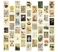 LOOR Vintage Aesthetic Wall Collage Kit - 50 Mini Botanical Collage Art Posters (4X6Inch), for Photo Wall