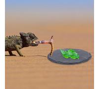 LOORGVEL 2pcs Reptile Turtle Basking Platform Set with 10x10cm Rectangular Round Stone Feeding Dish, Natural Rock Basking Platform for Tortoises and Aquatic Turtles in Terrarium