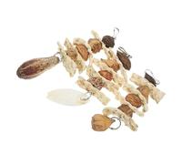 LOORGVEL 3pcs Natural Wear-resistant Bird Chewing for Parrots Hanging Cage Accessories Wood Shredding for Caged Birds African Grey Cockatiels