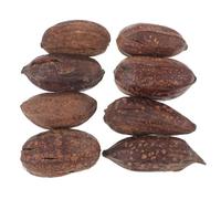 LOORGVEL 8pcs Natural Dried Fruit Parrot for Cage Chewing and Shredding Bird Bite for Parakeet Cockatiel Mental Health Enrichment Accessories