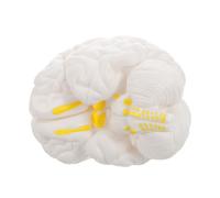 LOORGVEL Detachable Human Brain Model White Anatomical Skull Study Tool with Part Disassembly Accurate Medical Teaching Aid for Psychology Biology Science Education