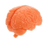LOORGVEL Human Brain Model Anatomical Educational Tool with Removable Part Structure for Medical Science Teaching Psychology Biology Study and Classroom Display Coffee Color