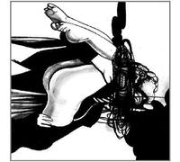 Loose Fur - Born Again in the USA [VINYL]