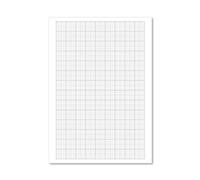 Loose Leaf Graph Paper A4 (500 Pack) 100103410
