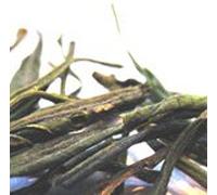 Loose Leaf Organic Green Tea Taster Tin - 8-10 Cups