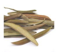 Loose Leaf Organic Olive Leaf Infusion - 50g