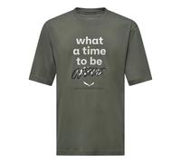 Salewa Eagle Outside Loose Short Sleeve T-shirt Green S Men