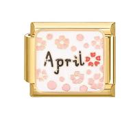 Loozykit Italian Charm Bracelet Charms gold silver Italian Charms fits all 9mm italian Bracelets for womens stainless steel italian style charms 27 Month Series Module DIY Gift(Gold April)