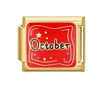 Loozykit Italian Charm Bracelet Charms gold silver Italian Charms fits all 9mm italian Bracelets for womens stainless steel italian style charms 33 Month Series Module DIY Gift(Gold October)