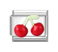 Loozykit Italian charm bracelet charms silver 9mm colorful patch styles italian charms bracelets for women stainless italian bracelet charms accessories DIY girl’s gift(Red cherry)