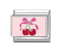 Loozykit Italian charm bracelet charms silver 9mm Italian charms for bracelet for women splicable Colorful Photos Italian style module stainless bangle accessories DIY girl gift(Pink cherry)