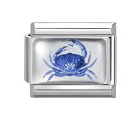 Loozykit Italian Charm Bracelet Charms Silver 9mm Italian Charms UV Resin Printing DIY Stainless Steel Italian Bracelet for women Italian style Charms Modules Girl Gift(Blue crab)