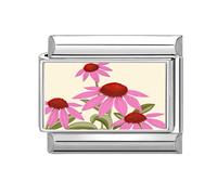 Loozykit Italian Charm bracelet charms silver Floral print pattern Italian charms 9mm italian bracelet charm stainless splicable accessories Dripping oil module DIY girl gift(Pink flower)