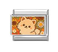 Loozykit Italian charm bracelet charms silver Italian Charms 9mm italian bracelet for women splicable Cat Dog Photos stainless steel italian bangle module DIY girl gift(Chrysanthemum cat)