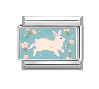 Loozykit Italian charm bracelet charms silver Italian Charms 9mm italian bracelet for women splicable Cat Dog Photos stainless steel italian bangle module DIY girl gift(Little white rabbit)