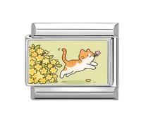 Loozykit Italian charm bracelet charms silver Italian charms 9mm italian bracelet for women splicable Pet Photos stainless italian charm accessories DIY girl gift(Orange cat catches the ball)