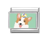 Loozykit Italian Charms Pet Photos Italian Charm Bracelet Charms silver 9mm Splicable italian bracelets for women's italan style charms stainless steel charm DIY Gift(Tennis Corgi)