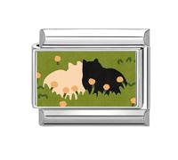 Loozykit Italian Charms Pet Photos Italian Charm Bracelet Charms silver 9mm Splicable italian bracelets for women's italan style charms stainless steel charm DIY Gift(Flower double cat)