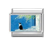 Loozykit Italian Charms Pet Photos Italian Charm Bracelet Charms silver 9mm Splicable italian bracelets for women's italan style charms stainless steel charm DIY Gift(Porch cat)